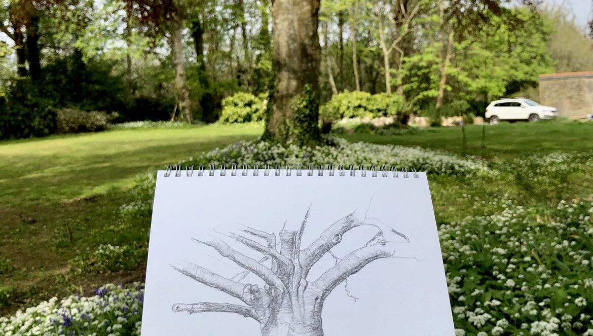 drawing-trees
