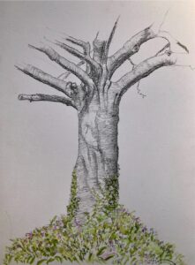 pencil-tree-drawing