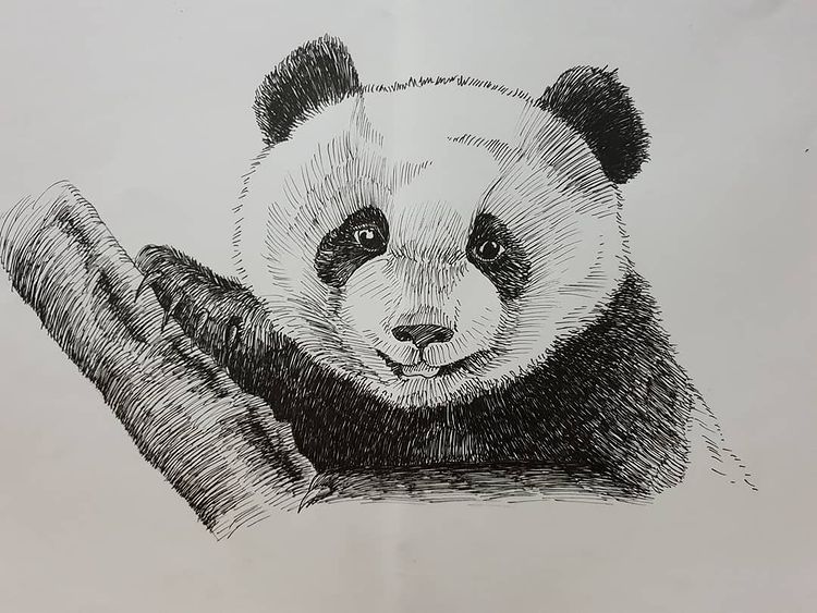 Shading Techniques Of Hatching And Cross Hatching • Drawing Life