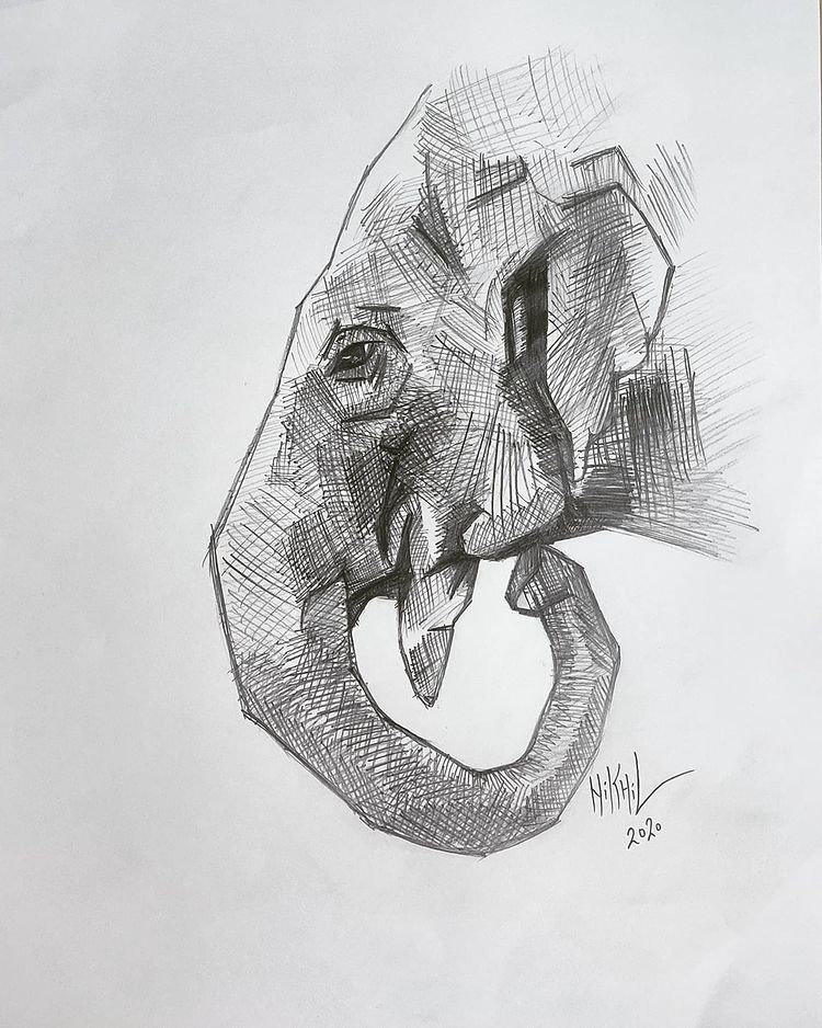 Charcoal drawing, Shading Techniques, Contour Lines & Hatching