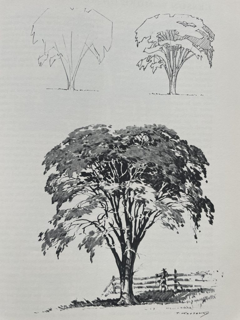 tree drawing