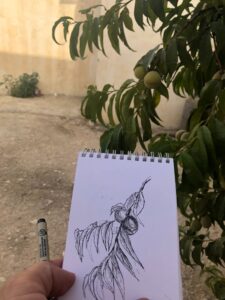 Drawings of Trees and Foliage Gallery by Nab Zamali